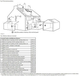 Flue termination